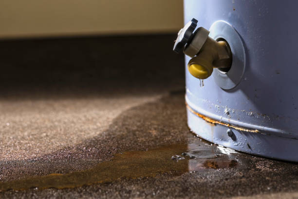 Best Local water damage restoration  in Waycross, GA