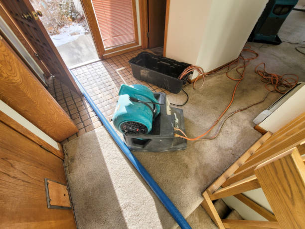 Best Professional water damage repair  in Waycross, GA