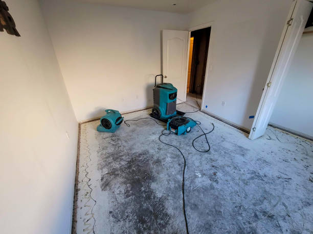 Best Mold removal after water damage  in Waycross, GA