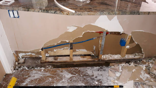 Best Flood damage cleanup  in Waycross, GA