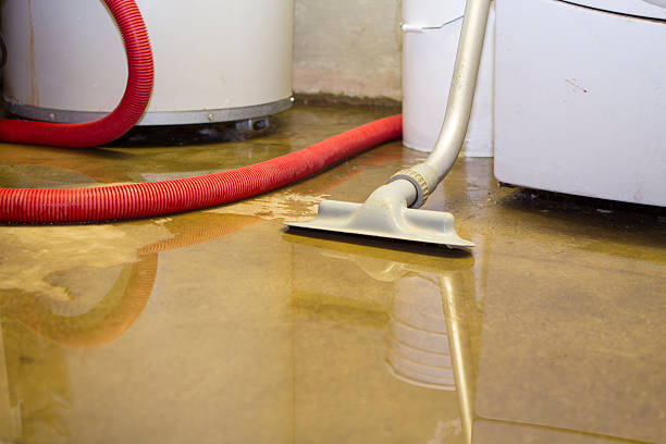  Waycross, GA Water damage restoration Pros