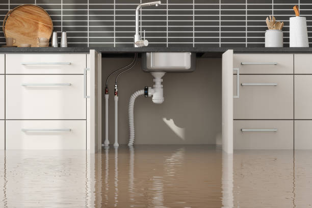 Best Water damage contractors near me  in Waycross, GA