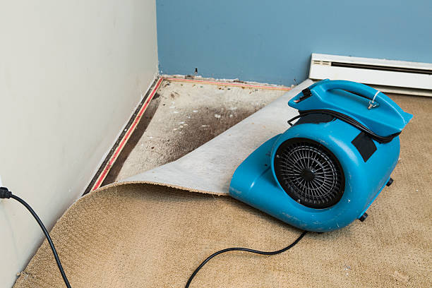 Best 24/7 water damage repair  in Waycross, GA